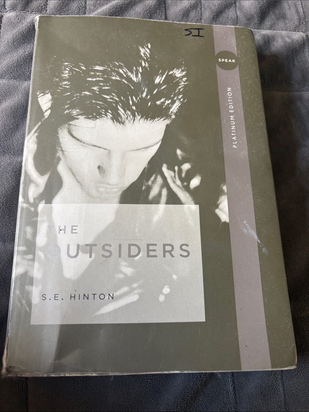 The Outsiders (Platinum Edition) by - Gray Hardcover